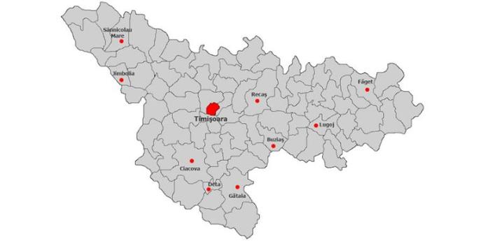 judetul-timis1-768x384